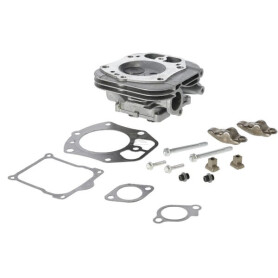 Culasse BRIGGS & STRATTON 84010935