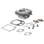 Culasse BRIGGS & STRATTON 84010935