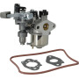 Carburateur BRIGGS & STRATTON 84004446