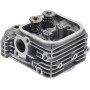 Culasse BRIGGS & STRATTON 84002012