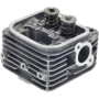 Culasse BRIGGS & STRATTON 84002012