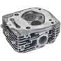 Culasse BRIGGS & STRATTON 84002012