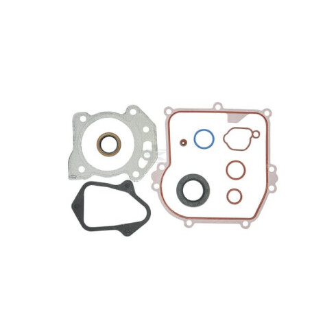 Jeu de joints BRIGGS & STRATTON 84006587