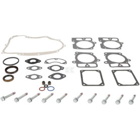 Kit BRIGGS & STRATTON 84001915
