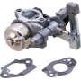 Carburateur BRIGGS & STRATTON 84004368