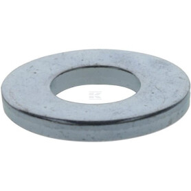 Rondelle BRIGGS & STRATTON 84005965