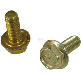 Boulon TRIOLIET-MULLOS 83919