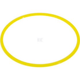Rondelle CNH 83993389