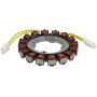 Alternateur BRIGGS & STRATTON 841178