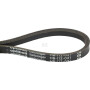 Courroie OPTIBELT 87535206AB