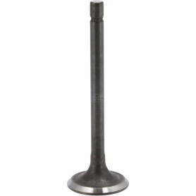 Soupape d'échappement BRIGGS & STRATTON 843752