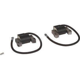 Bobine d'allumage BRIGGS & STRATTON 843860WM