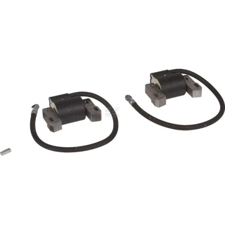 Bobine d'allumage BRIGGS & STRATTON 843860WM
