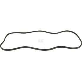 Vitre de porte CNH 84396397
