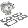 Carburateur BRIGGS & STRATTON 844372