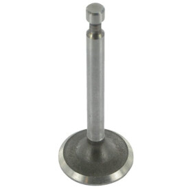 Soupape BRIGGS & STRATTON 843379