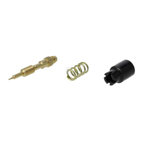 Kit BRIGGS & STRATTON 843295
