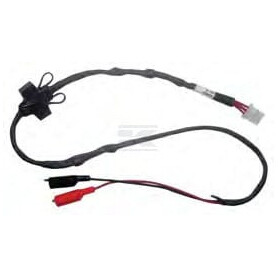 Faisceau de câble BRIGGS & STRATTON 847252