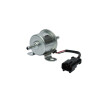 Pompe BRIGGS & STRATTON 846824