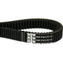 Courroie GATES 84817640
