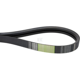 Courroie OPTIBELT 87339998AB