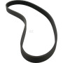 Ceinture côtelé FINI 9075338