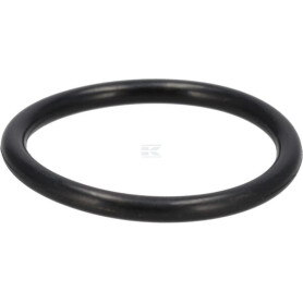 Bague CASE IH 9672549