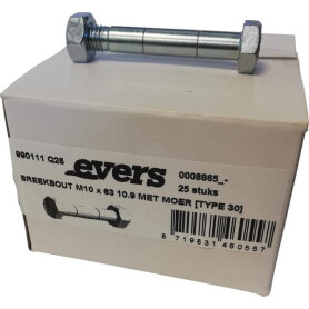 Boulon EVERS 990111Q25