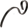 Dent EVERS 990424