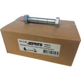 Boulon EVERS 990112Q25
