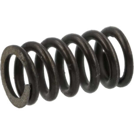 Ressort AGRIA AGW04934
