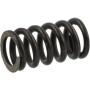 Ressort AGRIA AGW04934