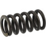 Ressort AGRIA AGW04934
