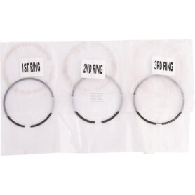 Segments LANDINI A77401