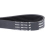 Courroie VALTRA (AGCO) ACV0238640