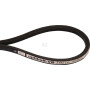 Courroie AGRIA AGW69855