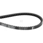 Courroie OPTIBELT AVX131385