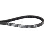Courroie OPTIBELT AVX131185