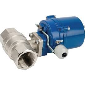 Valvola sfera 1 1/4" elettrica DURAVIS BLV032ACT24VACDC