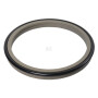 Racleur HALLITE ASP606685PTFE