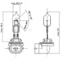 Ampoule UNIVERSEL B37513KR