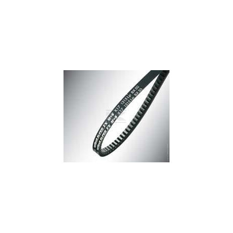 Courroie OPTIBELT AX13871