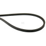 Courroie BRILL B09146