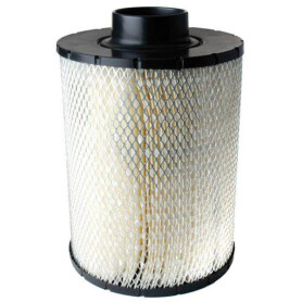 Filtre DONALDSON B085001