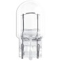 Ampoule UNIVERSEL B1241T20