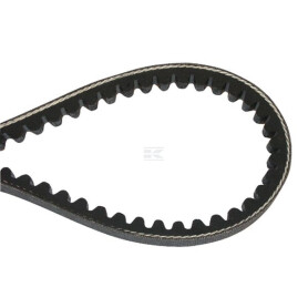 Courroie BRILL B11199