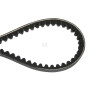 Courroie BRILL B11199