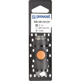 Giunto at.rap.sic FI BSP3/8" PREVOST BSI061102P001