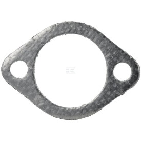 Dichtung BS692236 MTD BS692236
