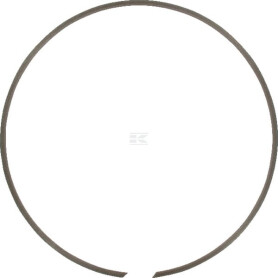 Circlip IDC BR250